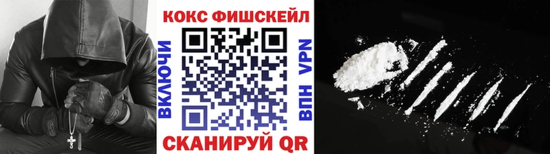 КОКАИН Fish Scale  купить   Тара 